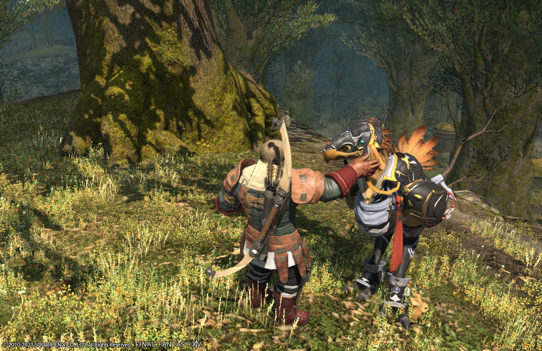 マイチョコボと戯れました