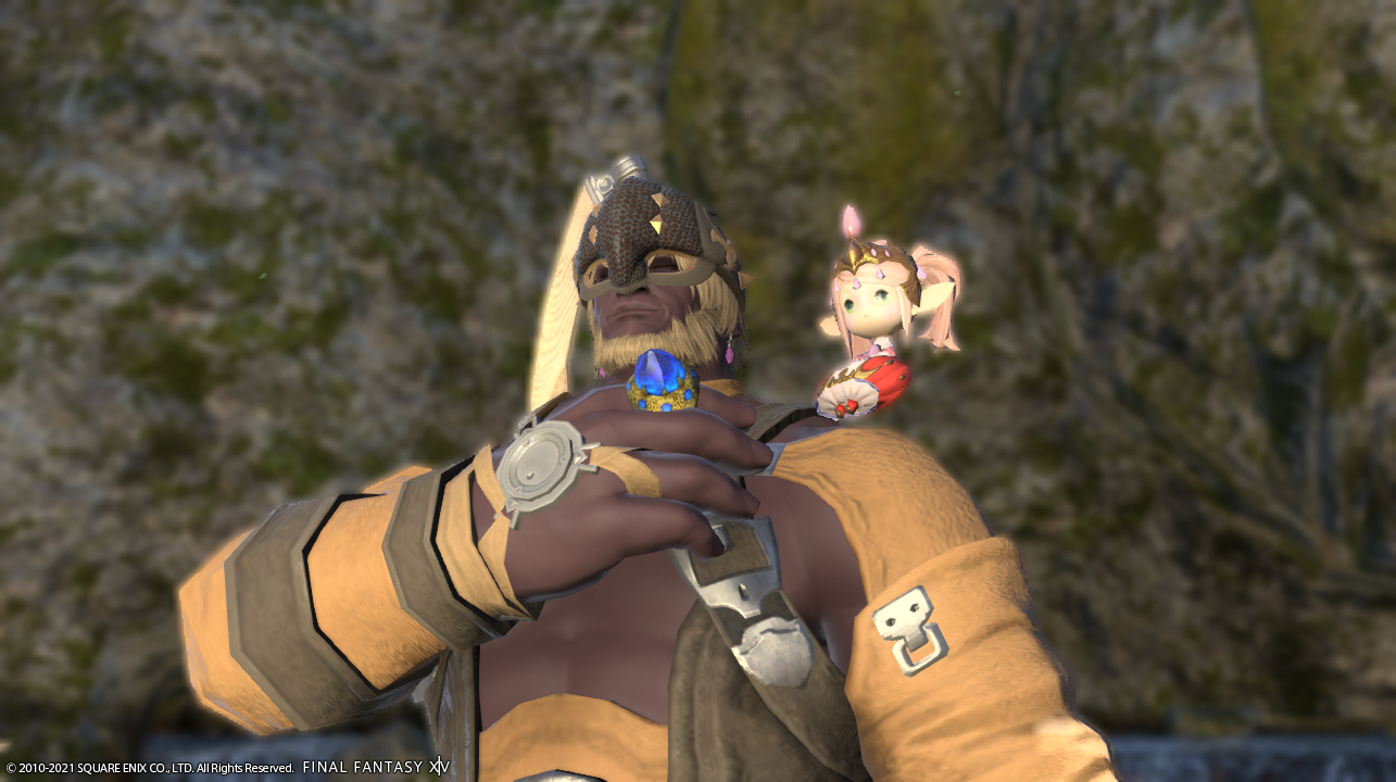 ララフェルを肩に乗せたいルガディンの回